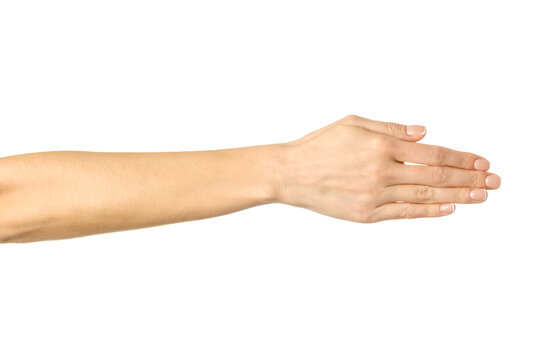 Women forearms hotsell
