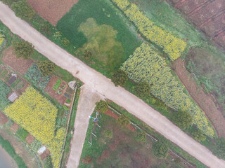 Spring aerial scenery of Baoan Lake National Wetland Park in Daye, Hubei