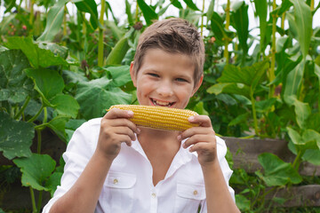 beautiful boy in white shirt in nature summer eats corn