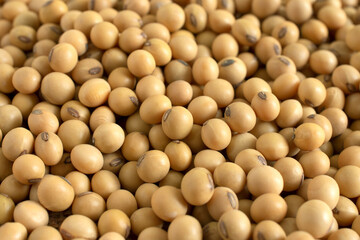 Close up soybeans,Agricultural products,soybean background..