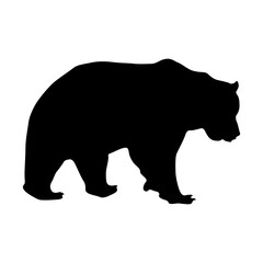 Grizzly Bear (Ursus Arctos Horriblis)  Standing On a Side View Silhouette Found In Map Of North America