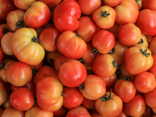 red tomatoes at the market