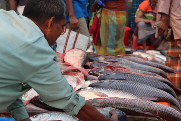 A customer choosing and buying fishes at a shop of Asian market