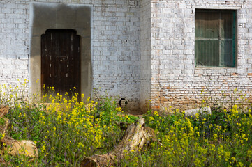 Spring scenery of Hubei Daye Zhaoshan Forest Park