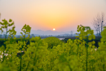 Obraz premium Spring scenery of Hubei Daye Zhaoshan Forest Park