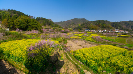 Fototapeta na wymiar Spring scenery of Hubei Daye Zhaoshan Forest Park