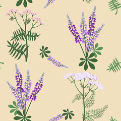 Fototapeta na wymiar Wild flowers. Seamless summer pattern with lupine, yarrow and tansy. Vector illustration.