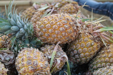 pineapple in a market