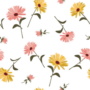 Vector seamless illustration with beautiful calendula flowers on a white background .