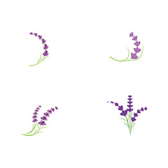 Fototapeta na wymiar Set Lavender Logo Template vector symbol