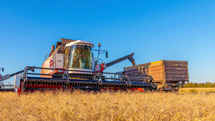Combines and other equipment in the fields during the wheat harvest
