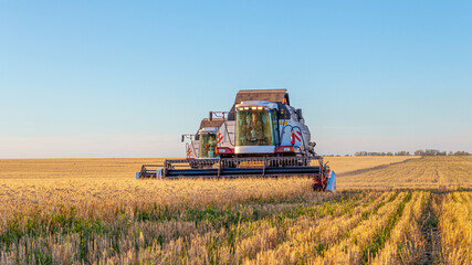 Combines and other equipment in the fields during the wheat harvest