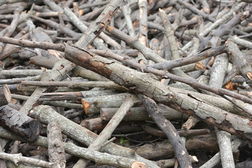  Firewood background.A lot of firewood is dumped in a pile.