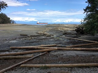 A beautiful seascape view of a bay at low tide with sand and logs in the foreground and the ocean in the background, at kanaka bay, on Newcastle Island, Nanaimo, British Columbia, Canada