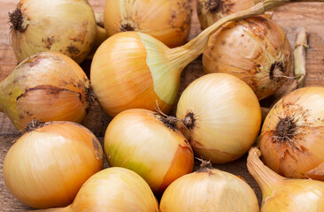 yellow ripe onions on a wooden table, good harvest for the farmer