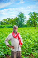 Fototapeta premium Indian farmer at cotton field