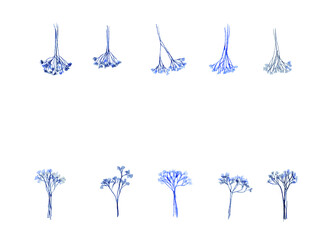 かすみ草のドライフラワーの装飾セット