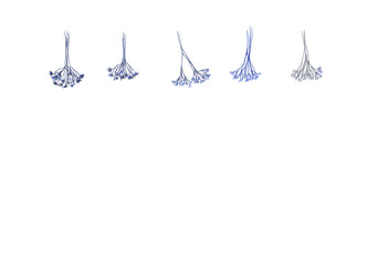 かすみ草のドライフラワーの装飾セット