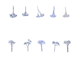かすみ草のドライフラワーの装飾セット