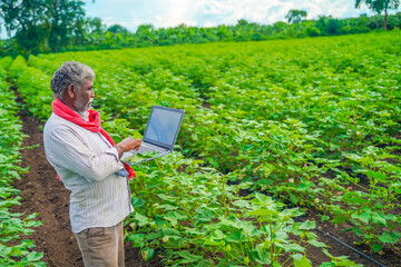 Naklejka na ściany i meble Indian farmer using a laptop at agriculture field