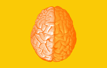 Brain hemispheres on top view illustration on yellow BG
