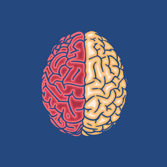 Red and yellow brain icon on deep blue BG