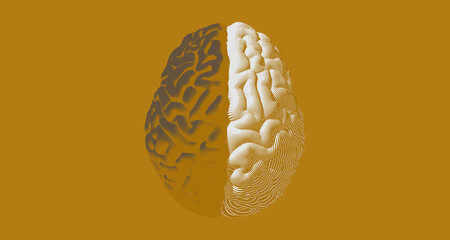 Engraving separate brain side illustration on sepia BG