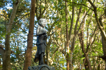 Fototapeta na wymiar a buddhism statue in the forest of mount takao, tokyo, japan