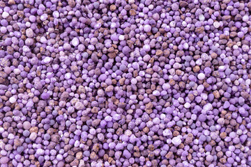 Purple mineral fertilizer, prolonged action with microelements, for application to the lawn in the spring or autumn