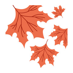 autumn season leafs plant colorful pattern decoration