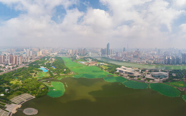 Wuhan city skyline aerial photography in summer