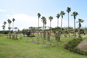 ヤシの木と公園。リゾート気分を満喫