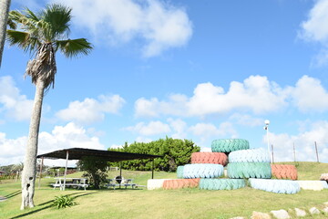 青空とタイヤと自然2（bluesky,tire, nature)