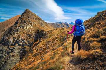 Obraz premium Sporty active hiker woman on the hiking trail, Carpathians, Romania