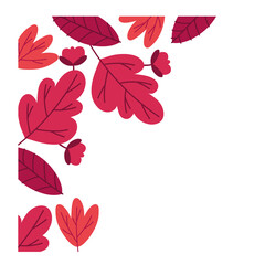 autumn season leafs plant colorful pattern decoration