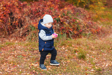 Cute toddler baby boy walking among fallen leaves in the autumn park