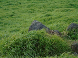old stone