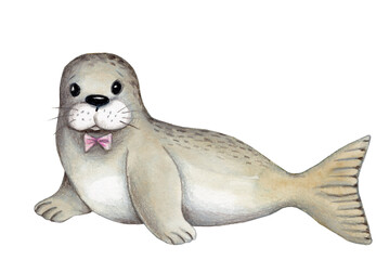 Sea ocean animal, seal. Watercolor hand drawn cartoon cute illustration for kids. Isolated.