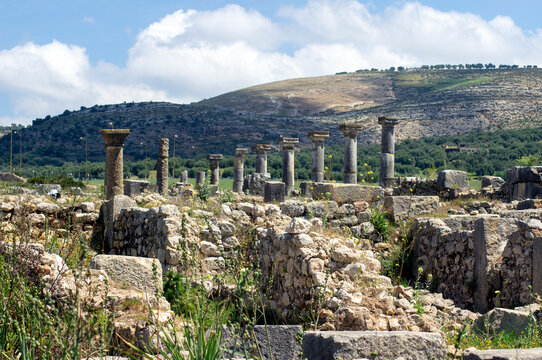 Roman era ruins in spingtime, Volubilis, Morocco