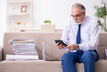 Aged businessman employee working from house