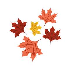 autumn season leafs plant colorful pattern decoration