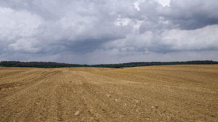 Fototapeta na wymiar Harvested fields in Brandenburg