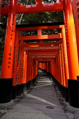 夜明け前の千本鳥居　伏見稲荷大社