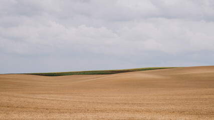 Fototapeta na wymiar Harvested fields in Brandenburg