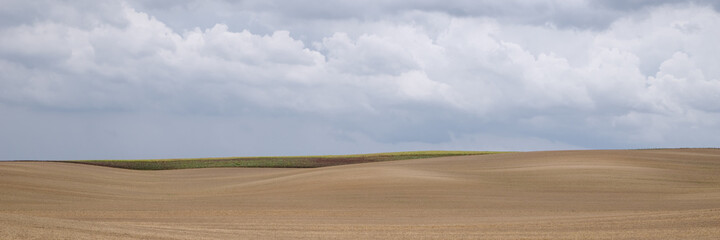 Harvested fields in Brandenburg