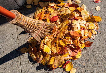 秋の日課の落葉掃除