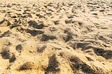 Sandy brown river beach. The concept of leisure and entertainment. Background