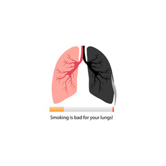 Smoking icon is harmful to the lungs. Vector illustration eps 10