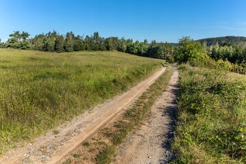 Empty countryside road through green meadows. Summer landscape in the Czech Republic. Country road. Quiet place.