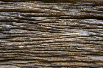 blank nature wood grain texture or table and empty old rough wall with brown wave floor and dirty for groove wooden board background and pattern backdrop or dark wallpaper on top view